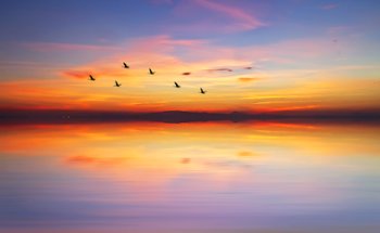 Memorial Chapels - Puebla