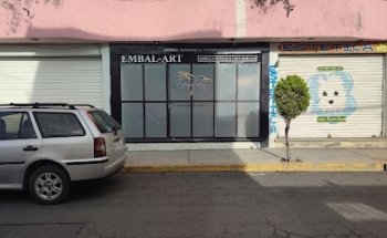 Embalsamadora embal-art