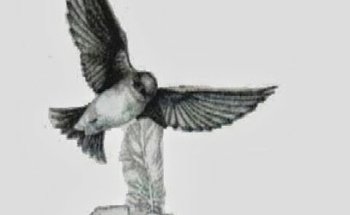 Funerales Estancia Final