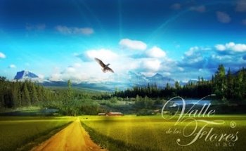 Funerales Valle de las Flores