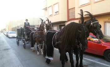 Inocencio Ferrer Ramon