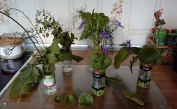 Funeraria Cantábrica S.L