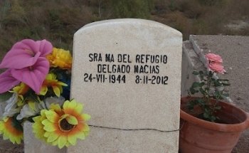 Gayosso | Jardines del Carmen