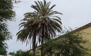 Capillas San Judas Tadeo