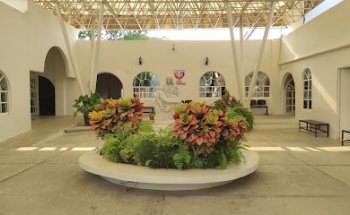 Velatorio Y Crematorio 