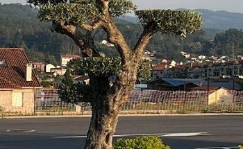 POMPAS FÚNEBRES SAN JOSÉ S.L.U.