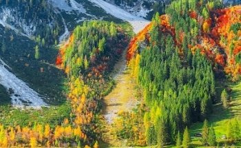 Funerales San Andres