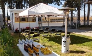 Arboleda Recinto Funerario