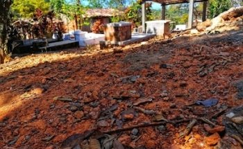 Teófilo de la Cruz ️