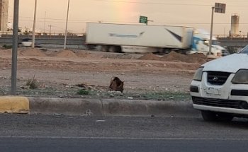 Periferico Raúl López Sánchez, Col. San Antonio de los Bravo, Torreón
