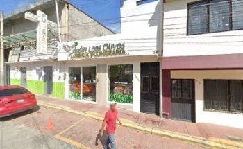 Funeraria Jardín Los Olivos