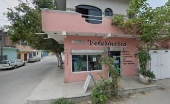 Grupo Funerario San Jose