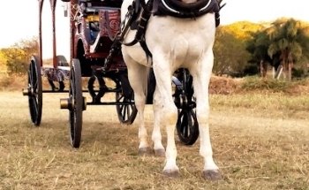 Casa Funeral La Cruz