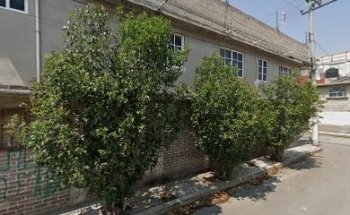 Funerales del bosque