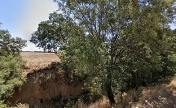 Parque Funerario ASG