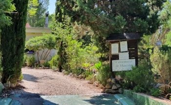 Sena Valencia Crematorio- Cementerio de animales - Atencion 24 horas