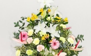 Tanatorio Crematorio San Juan Bautista