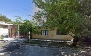 Jardín de los Pinos