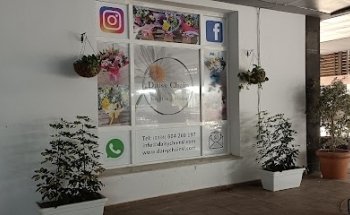 Daisy Chain Florist Orihuela Costa
