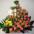 Floristería en Almería Madreselva