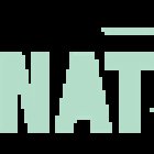 NAT - Fast Forward Invest, S.A.