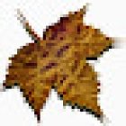 Funeraria Orbegozo Tanatorio Incineraciones Andoain