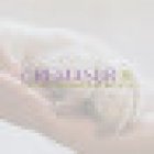 CREMASUR SEVILLA Tanatorio Crematorio de Mascotas 24 HORAS