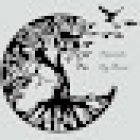 Funerales Luz Eterna