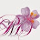 General Office Pantheon Memorial Room