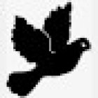 Servicios Funerarios Bonola