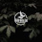 Funerales “Valle de la Luz”