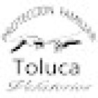 Protección Familiar Toluca; Velatorios