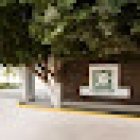 Gayosso | Jardines del Carmen