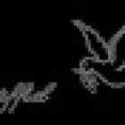 servicios funerarios serffiel