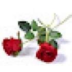 Tanatori Sud de València