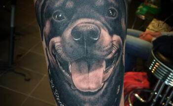 dapper Tattoo