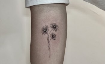 Polilla Tattoo Studio