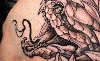 Northstar Tattoo studio Stavanger
