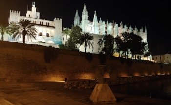 Black Lotus Tattoo Mallorca