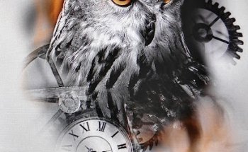 Astin Tattoo Cordoba