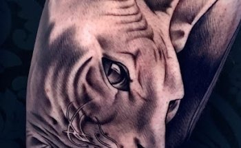 Grow Estudio Tatuaje, Barberia y Estetica