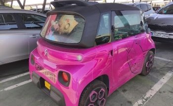 The crazy cat factory