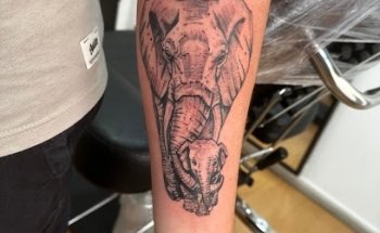 Flex ink art & Tattoo gallery