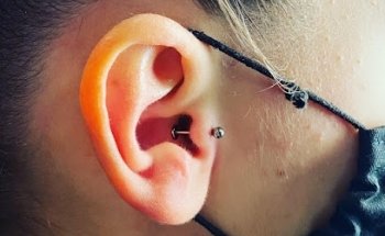 HEART OF LION STUDIO