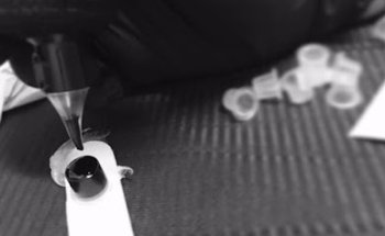 Special Tattoo Studio