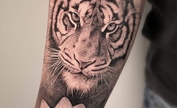 Nebula Tattoo Studio