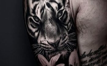 Laude Tattoo & Piercing Parlour in Madrid - Walk ins are welcome