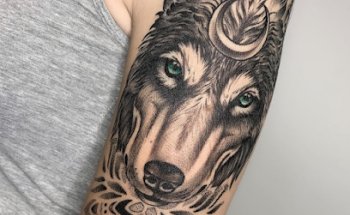 Wild Art Tattoo