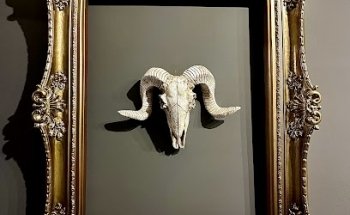 El Sata Tattoo Estudio