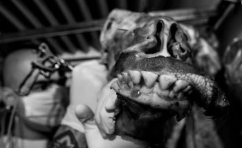 Internal Burning - Alberto Maestro